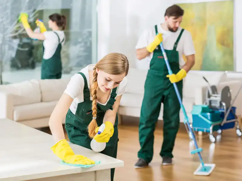 Cleaning service with professional equipment during work.