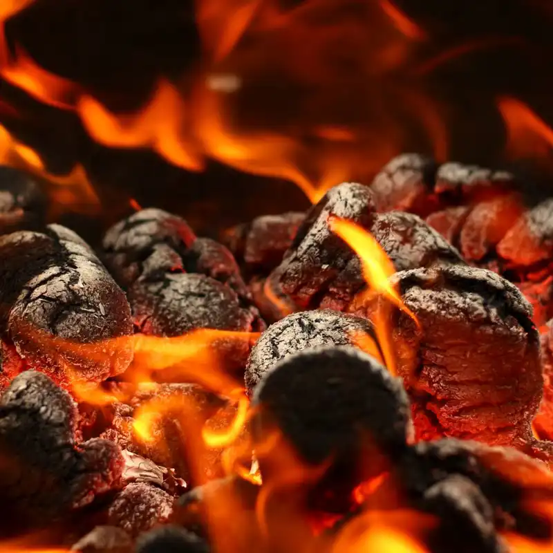Close-up of coal burning.