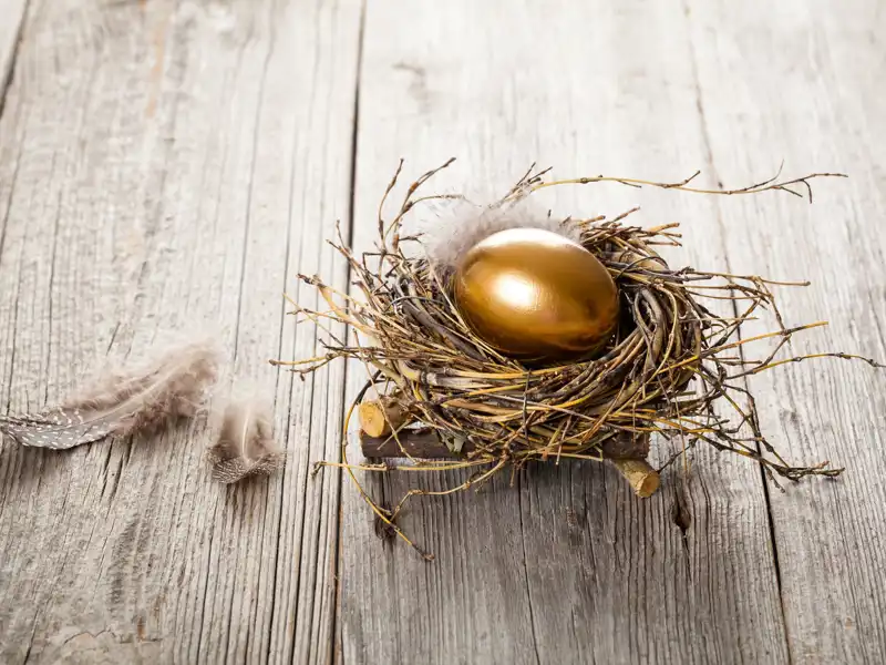 Golden egg in nest on dark vintage wooden background.