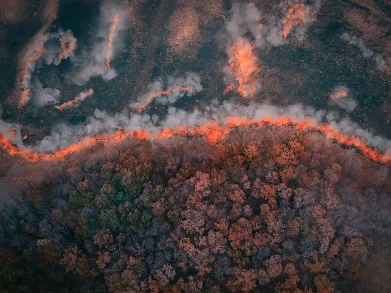 Aerial view of a forest wildfire.