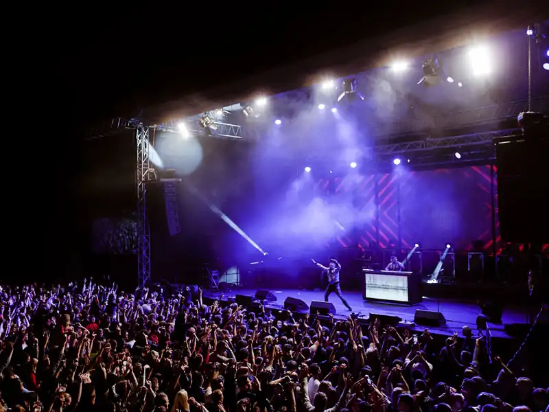 crowd shot at a concert